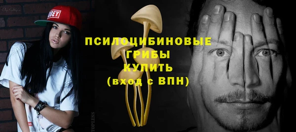 шишки Алексин