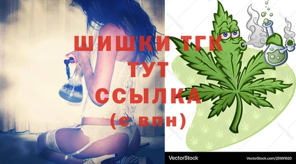 шишки Алексин
