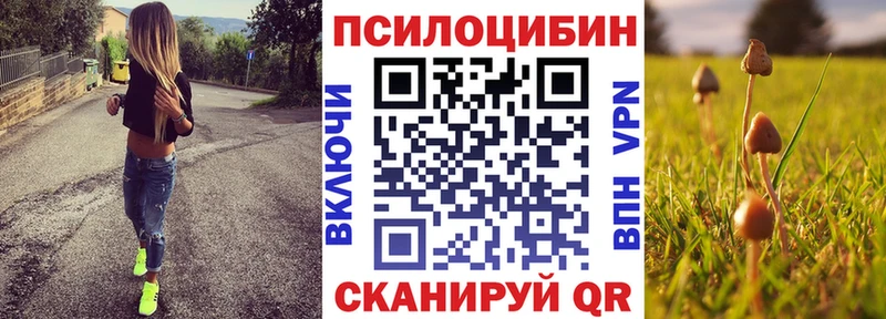 дарнет шоп  Сосновка  Галлюциногенные грибы MAGIC MUSHROOMS 